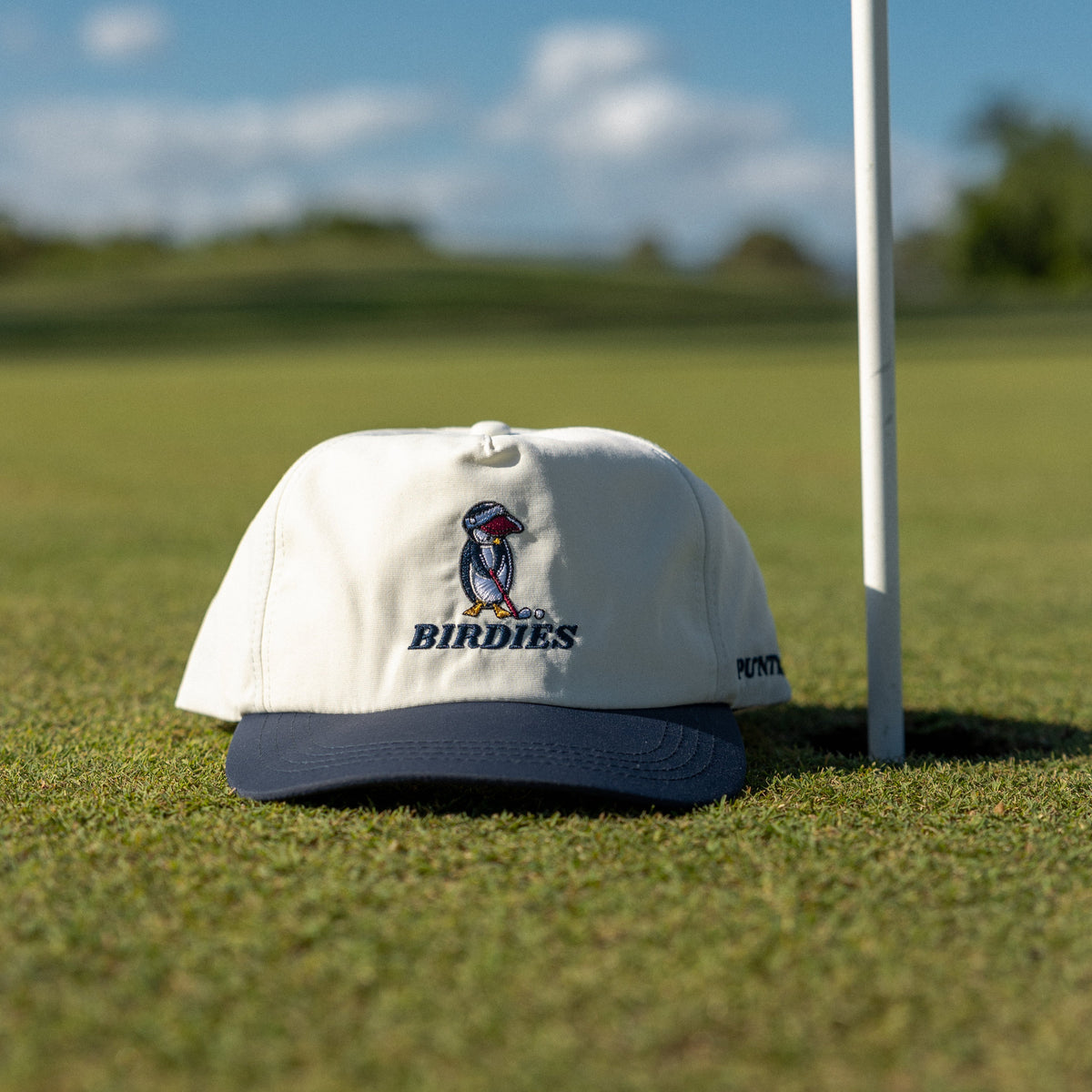 Two Tone Birdies Cap