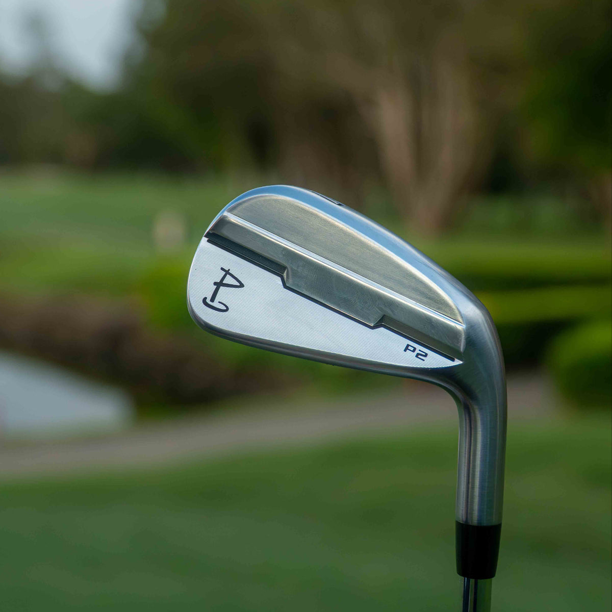 P2 Irons